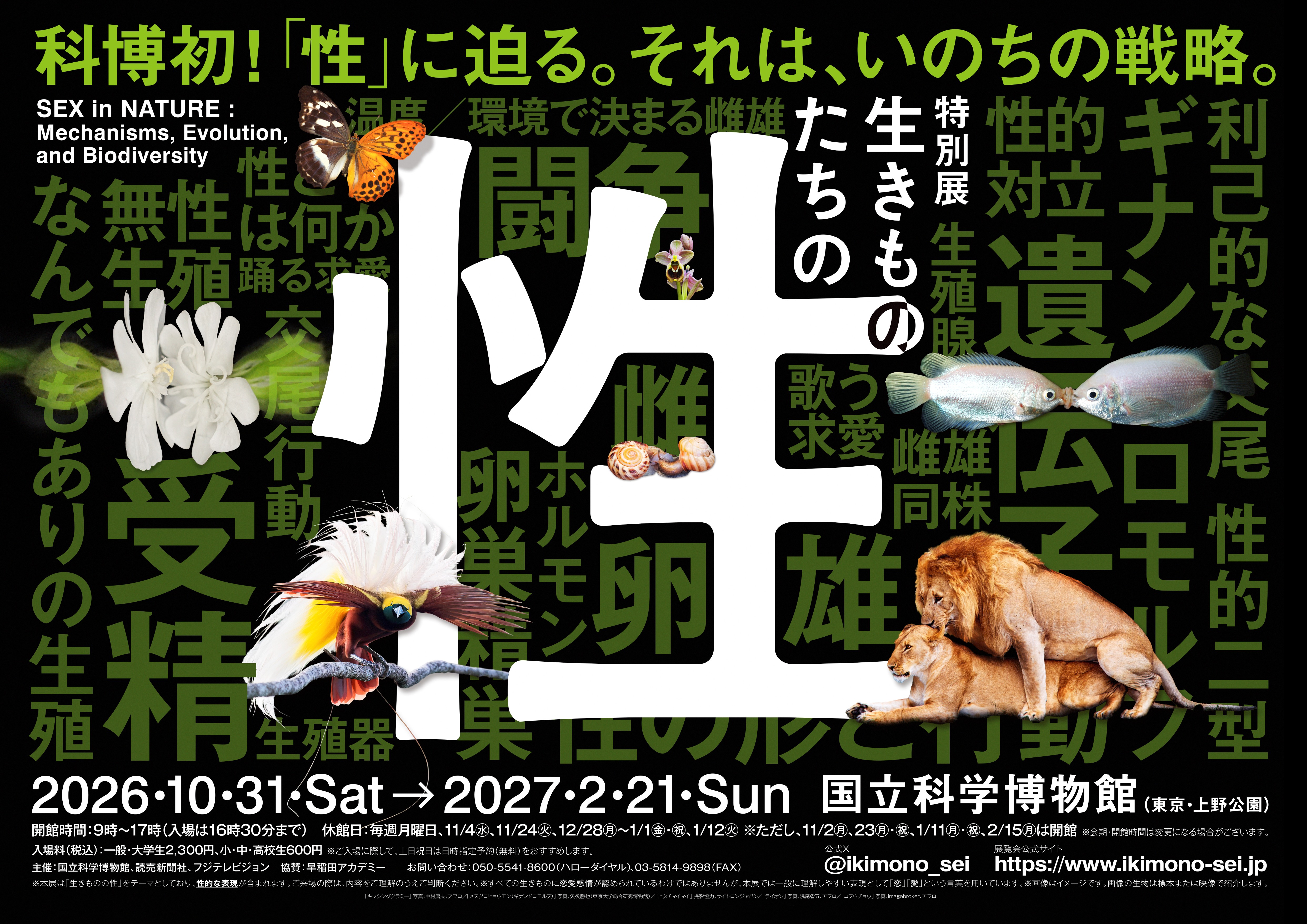 特別展「生きものたちの性」 公式情報画像