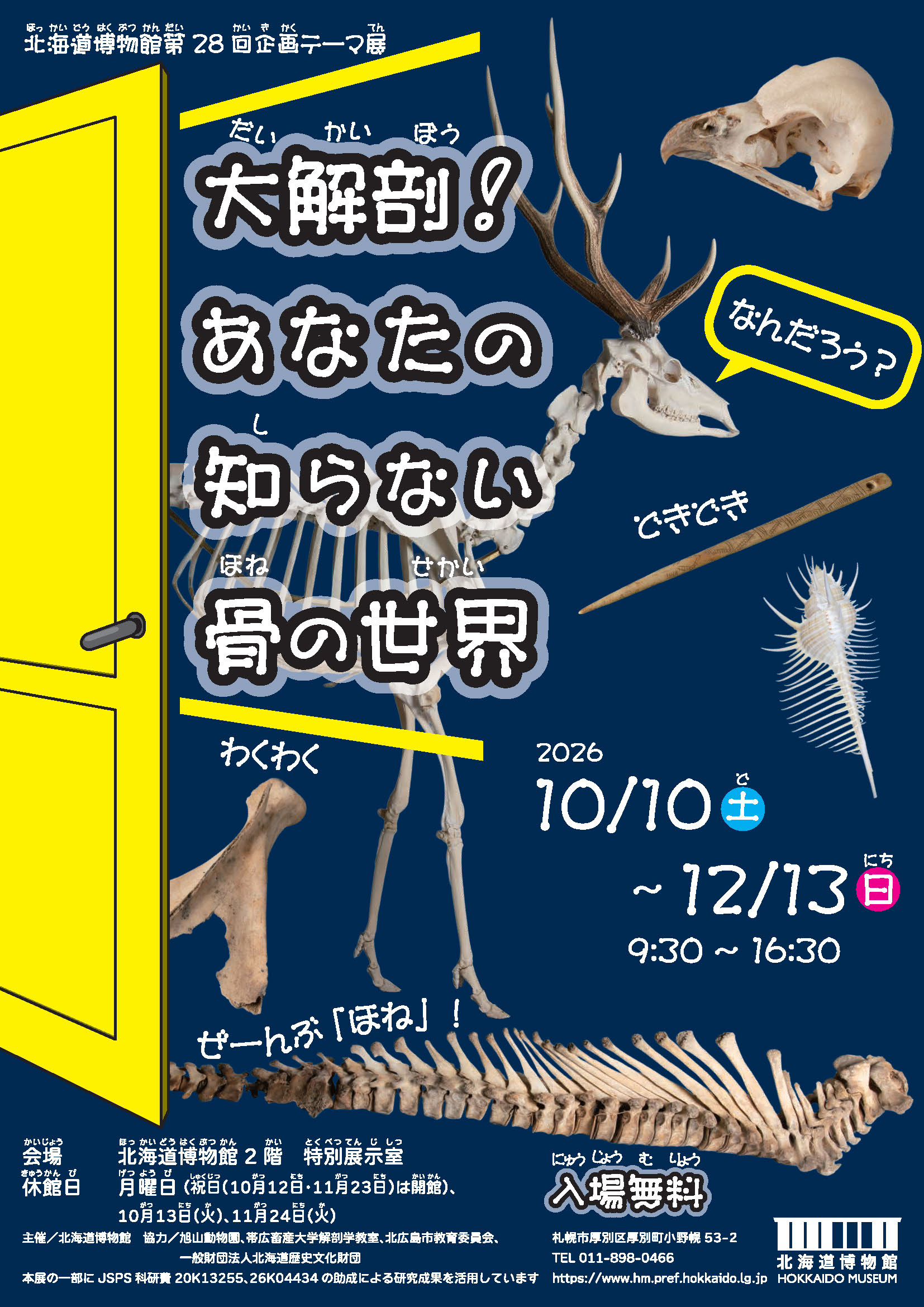 大解剖！あなたの知らない骨の世界 公式情報画像